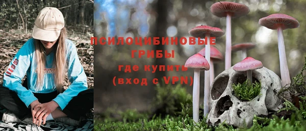 apvp Балабаново