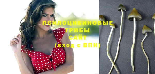 spice Балахна
