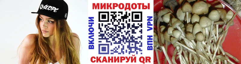 Псилоцибиновые грибы Cubensis  omg как войти  нарко площадка наркотические препараты  купить закладку  Волгореченск 